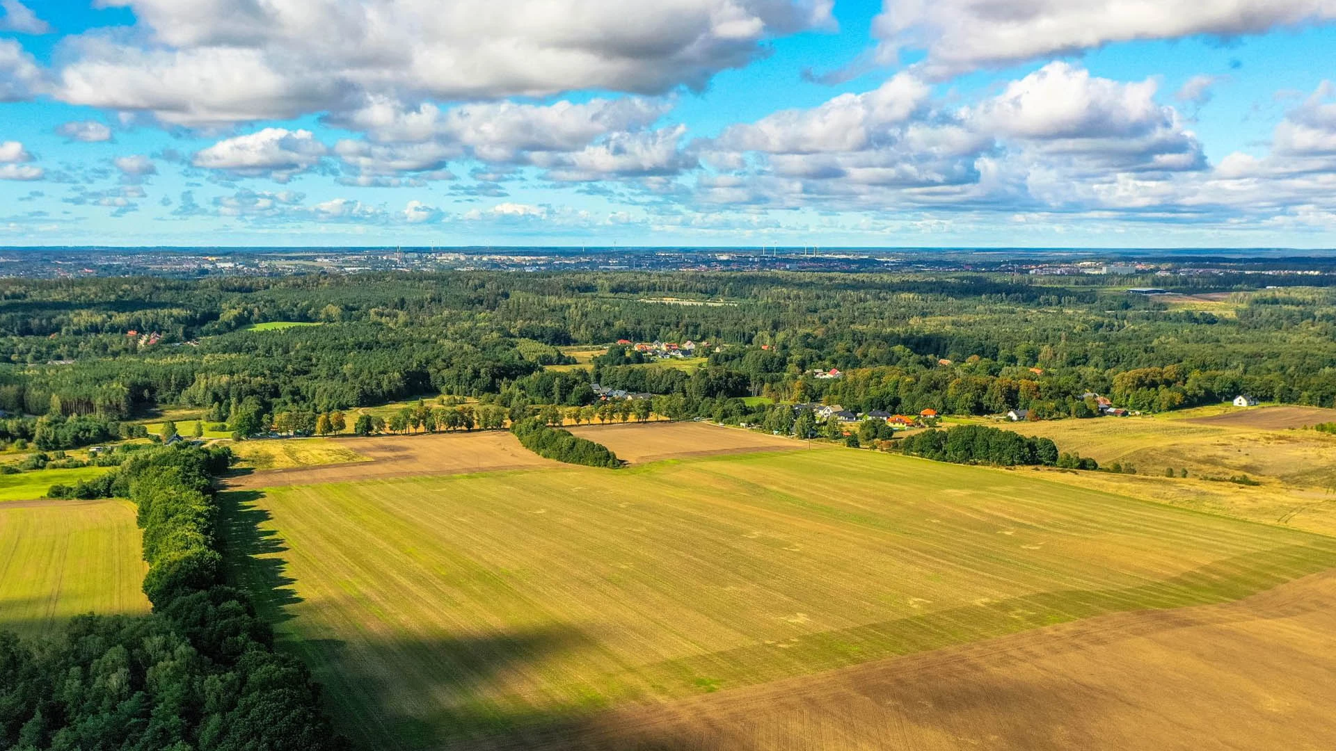 Inwestycja Płaszewko I – ujęcie 45