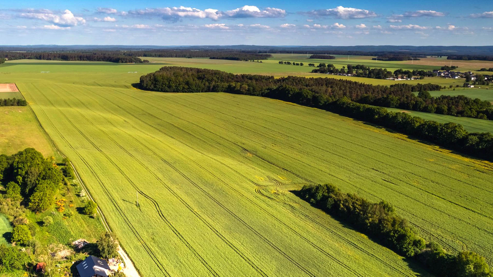 Inwestycja Płaszewko II – ujęcie 34